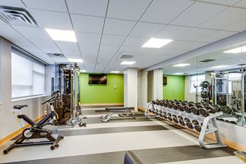 A gym with a variety of equipment including weights and cardio machines.